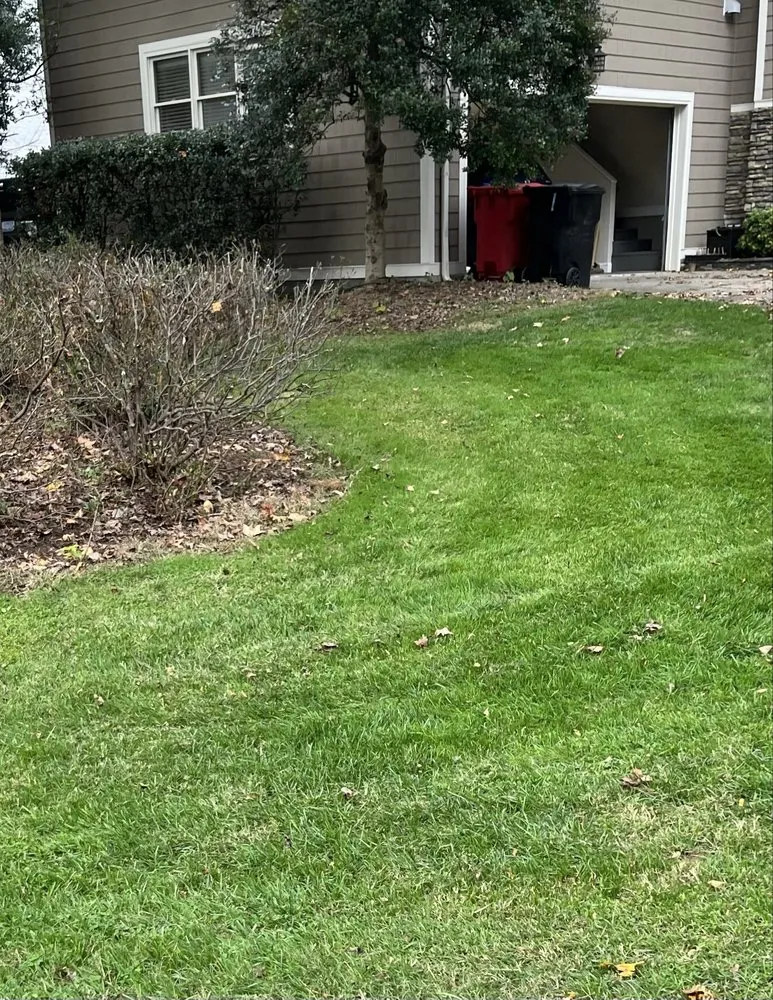 Local garden landscaping for outdoor upgrades across Davidson, NC - KMC Lawn Care