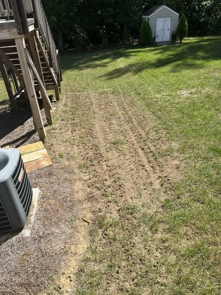 Reliable yard maintenance experts serving Davidson, NC - KMC Lawn Care