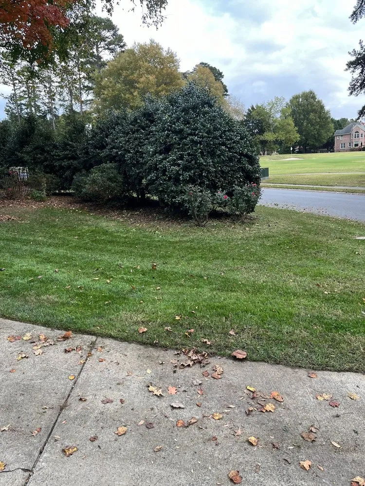 Reliable landscape installation experts serving Davidson, NC - KMC Lawn Care