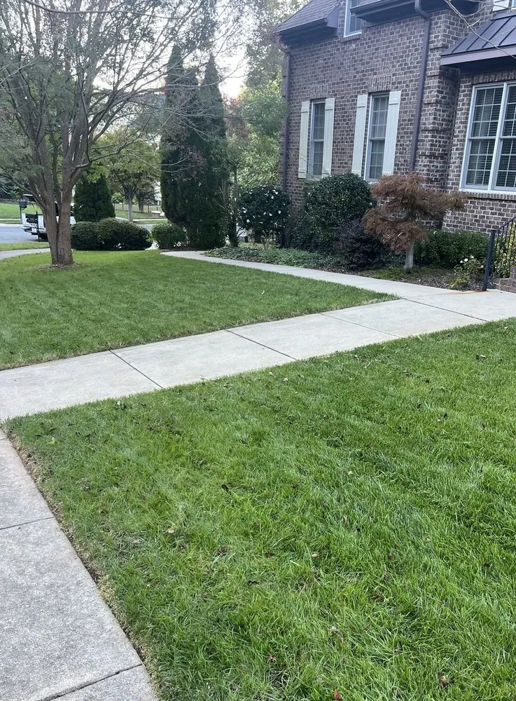 Reliable yard cleanup service in Davidson, NC by KMC Lawn Care