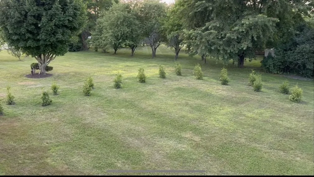 Top-rated yard cleanup service in East Granby, CT by KMC Painting and Property Maintenance