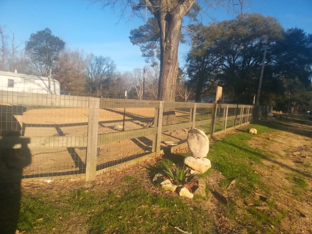 Trusted yard maintenance in Terry, MS - KMF Tree service