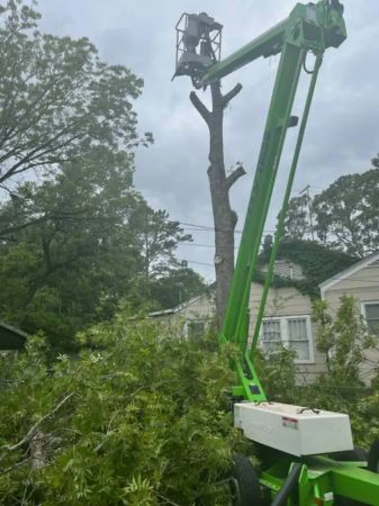 Professional garden landscaping for year-round maintenance in Terry, MS by KMF Tree service