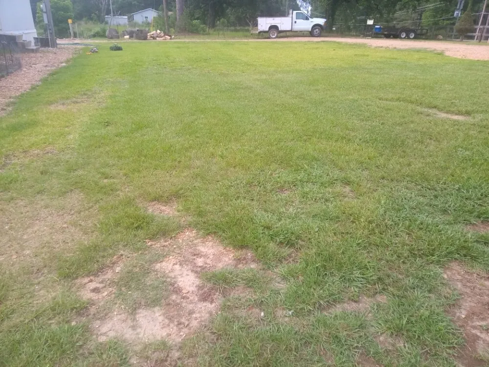 Local landscape design experts serving Terry, MS - KMF Tree service