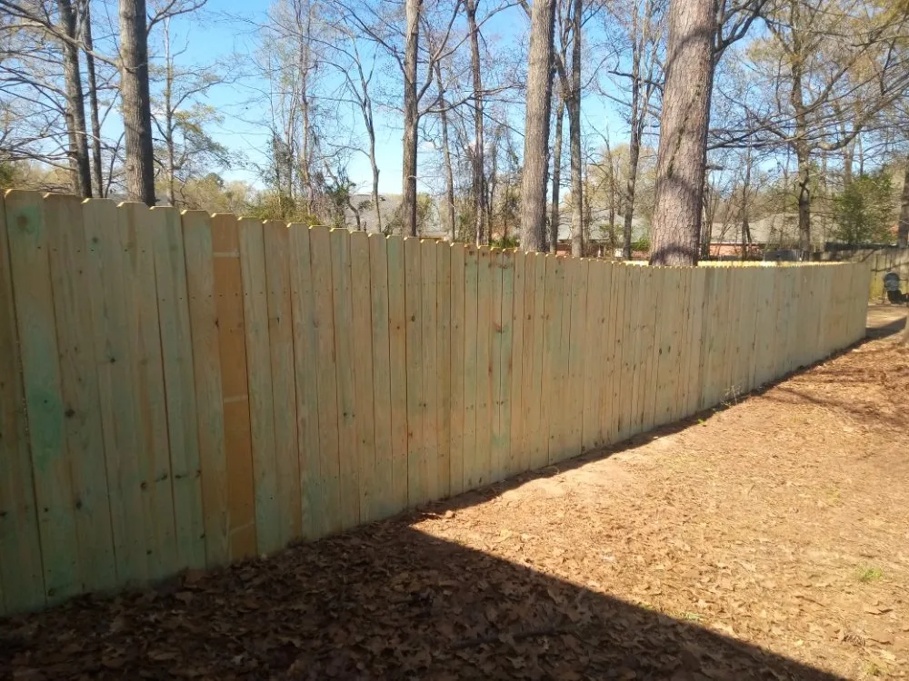 Expert yard maintenance experts serving Terry, MS - KMF Tree service