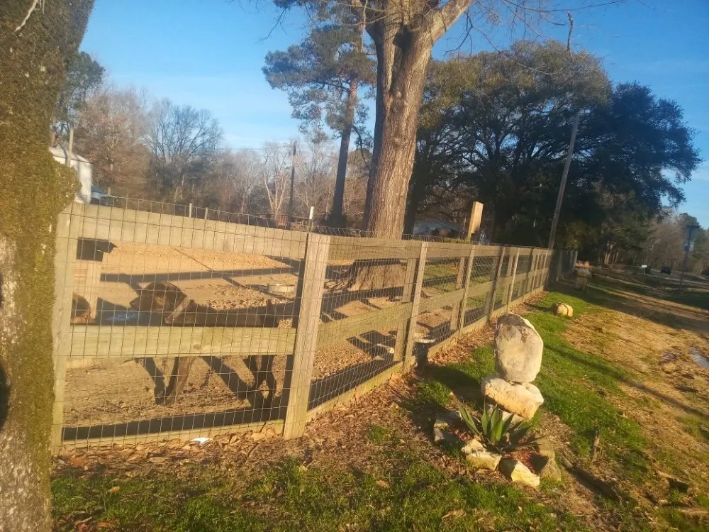 Affordable garden landscaping experts serving Terry, MS - KMF Tree service