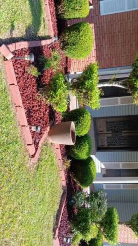 Local lawn mowing service in Terry, MS - KMF Tree service