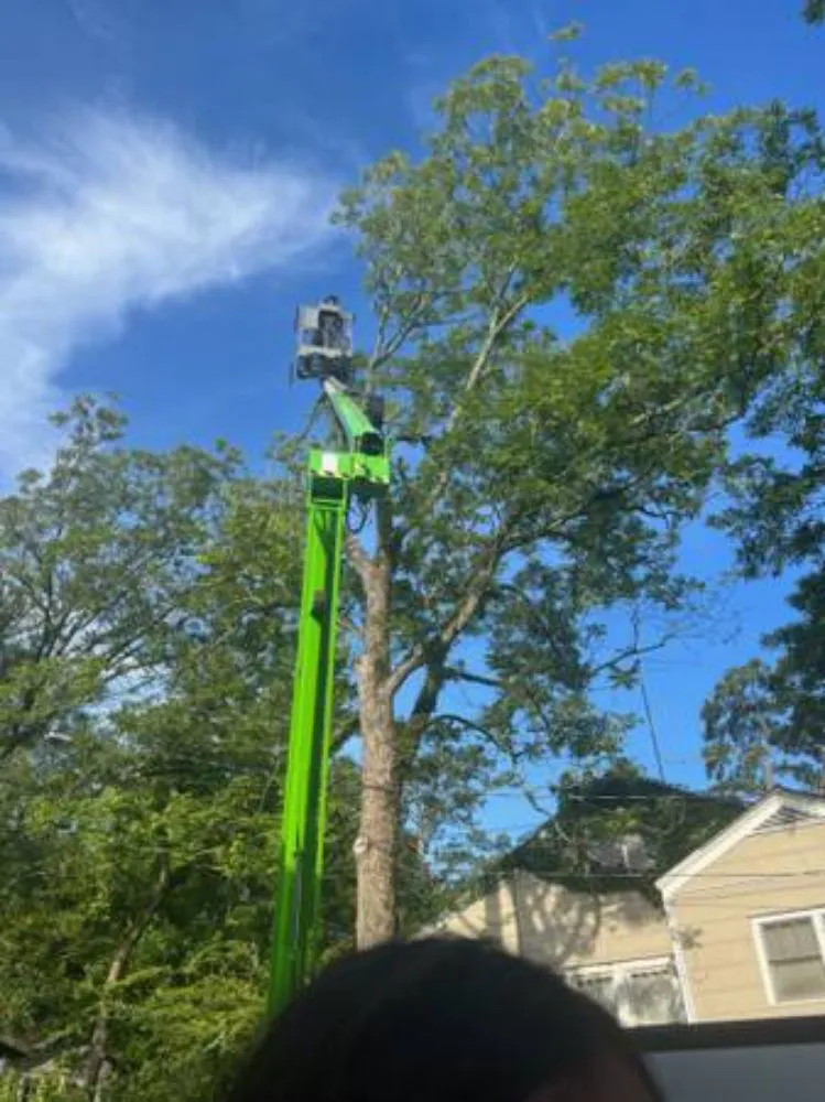 Reliable landscape installation in Terry, MS by KMF Tree service