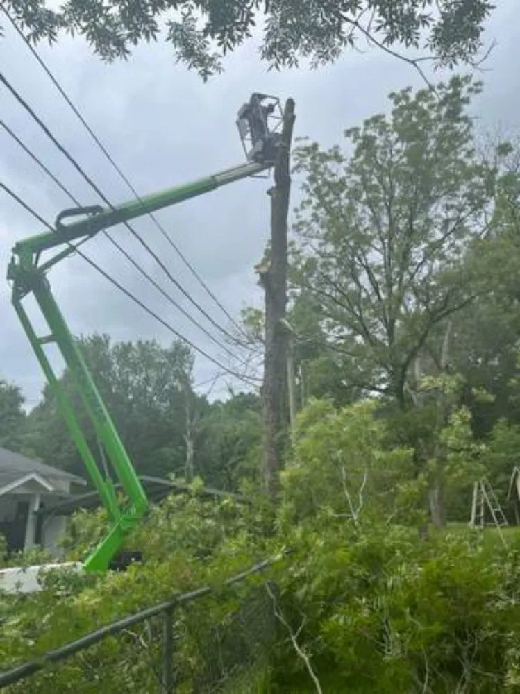 Professional outdoor landscaping in Terry, MS - KMF Tree service