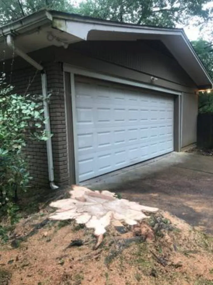 Top-rated landscape installation in Terry, MS - KMF Tree service