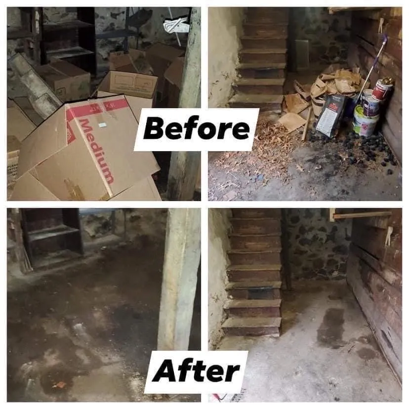 Local landscaping services for residential properties across Waterbury, CT - Kmg Movers