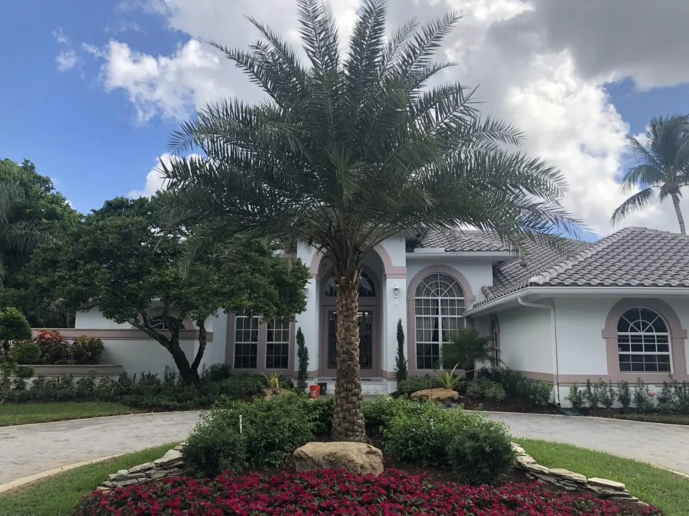 Expert yard cleanup service with custom design across Pompano Beach, FL - KMJ Lawn and Landscape