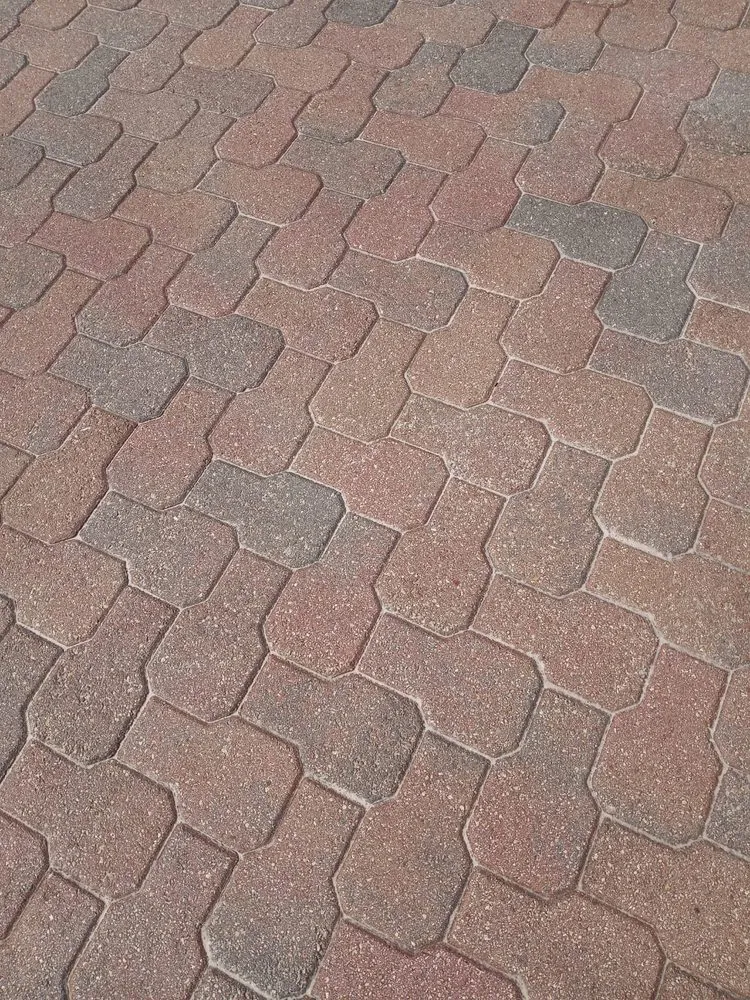 Professional outdoor landscaping for year-round maintenance across Pompano Beach, FL - KMJ Lawn and Landscape