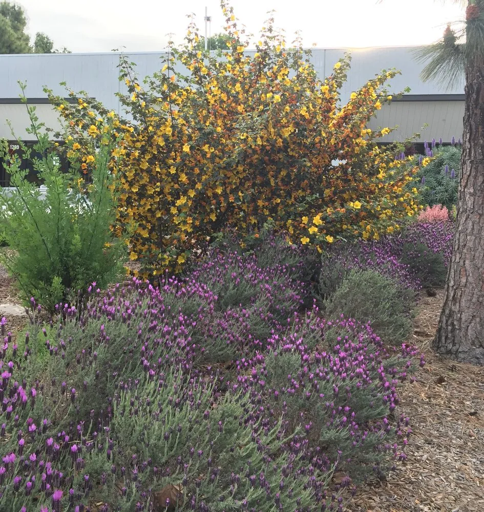 Professional residential landscaping for outdoor upgrades in Millville, CA by KMK Landscape Design