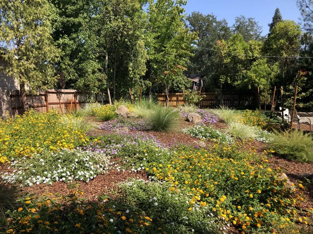 Expert outdoor landscaping in Millville, CA by KMK Landscape Design