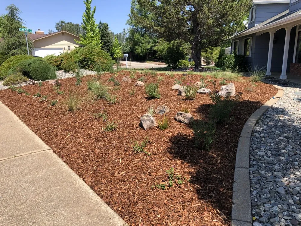Expert yard cleanup service for year-round maintenance across Millville, CA - KMK Landscape Design