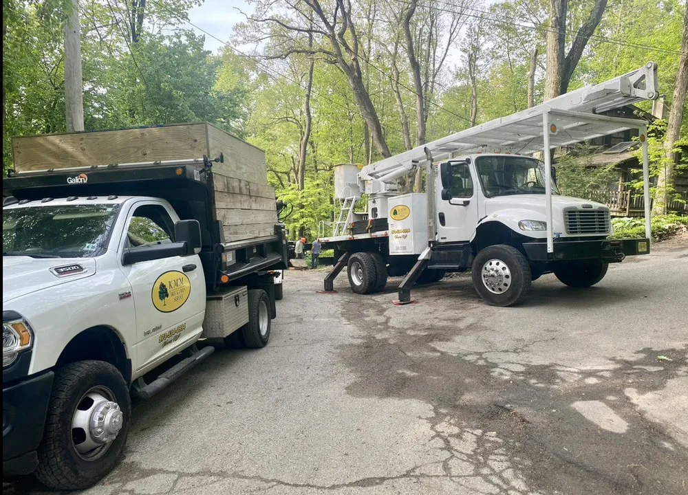 Affordable outdoor landscaping in Vernon Township, NJ - KMM Tree and Lawn Service