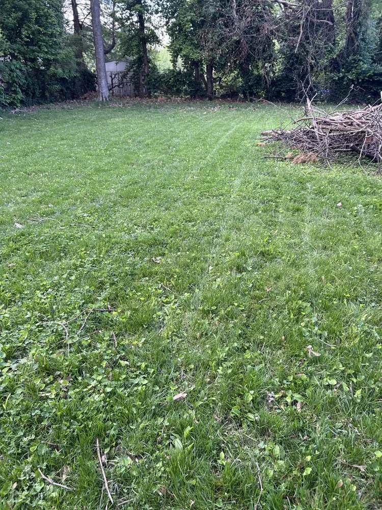 Expert residential landscaping experts serving Overland, MO - KMPI Lawn Service and Landscaping