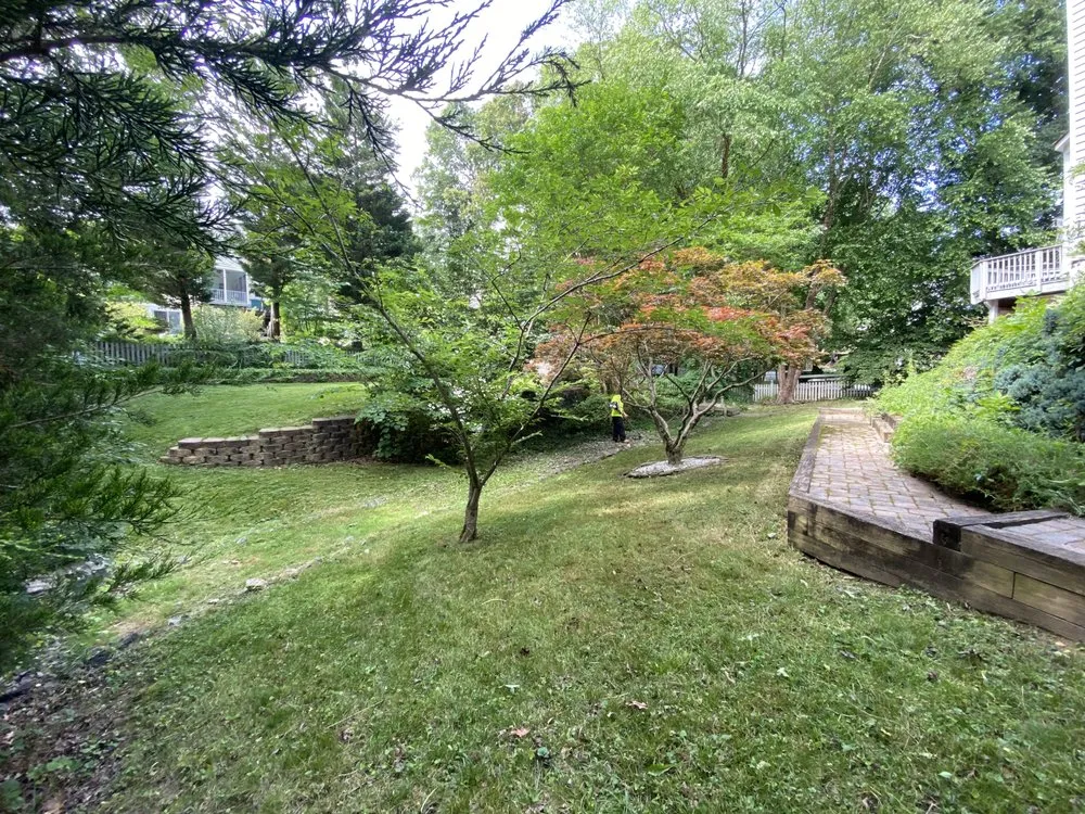 Trusted yard maintenance for year-round maintenance across Fredericksburg, VA - KMT Services