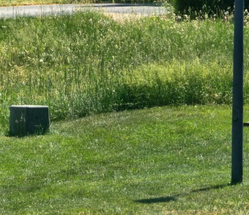 Trusted lawn care service in Fredericksburg, VA - KMT Services