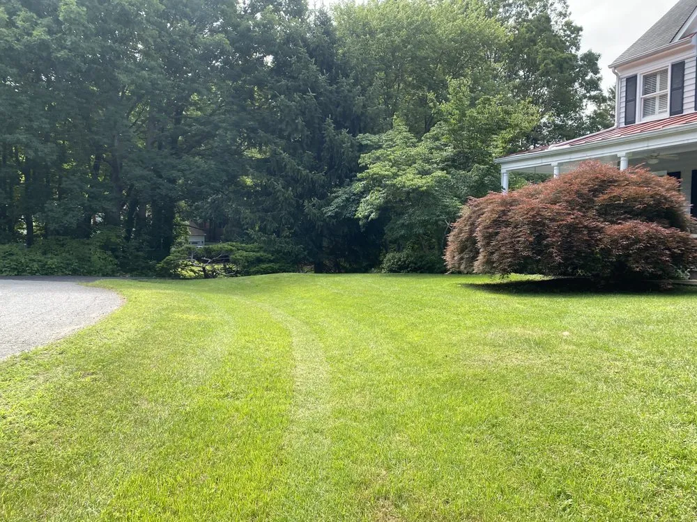 Custom yard maintenance experts serving Fredericksburg, VA - KMT Services