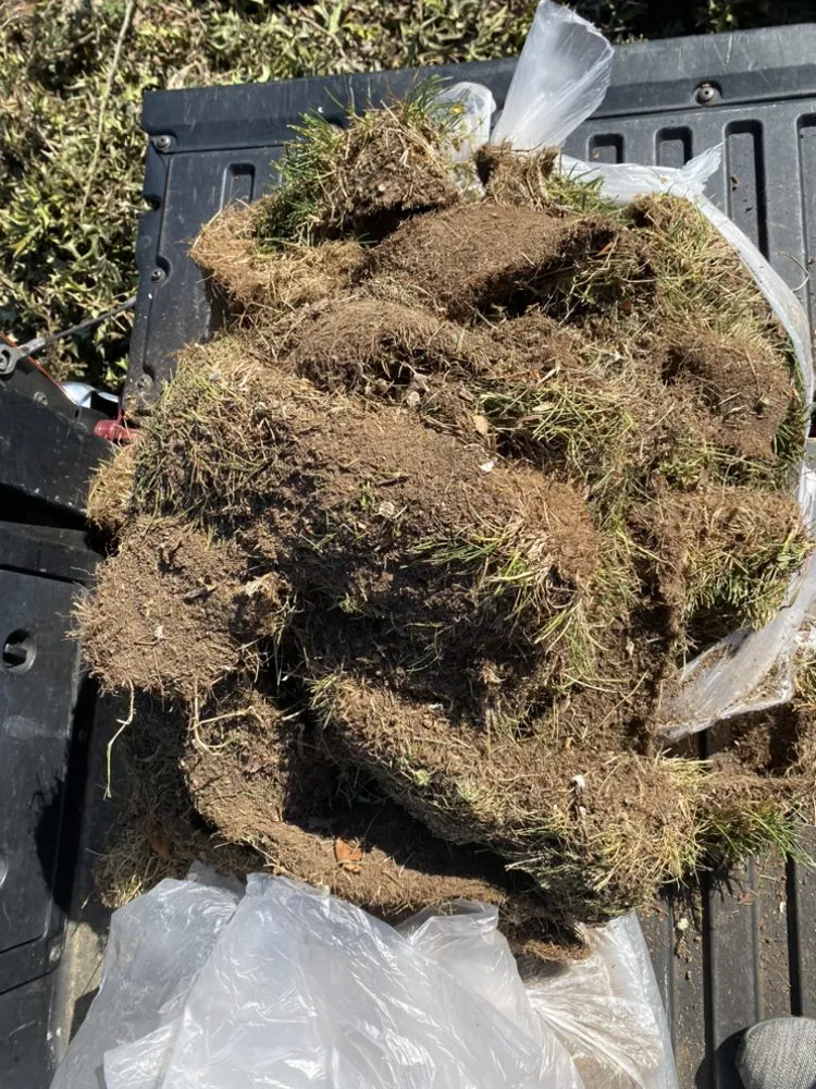 Professional garden landscaping in Fredericksburg, VA - KMT Services