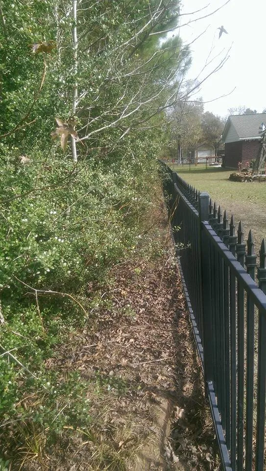 Trusted lawn mowing service in Stagecoach, TX - KMW lawn services & Logistics