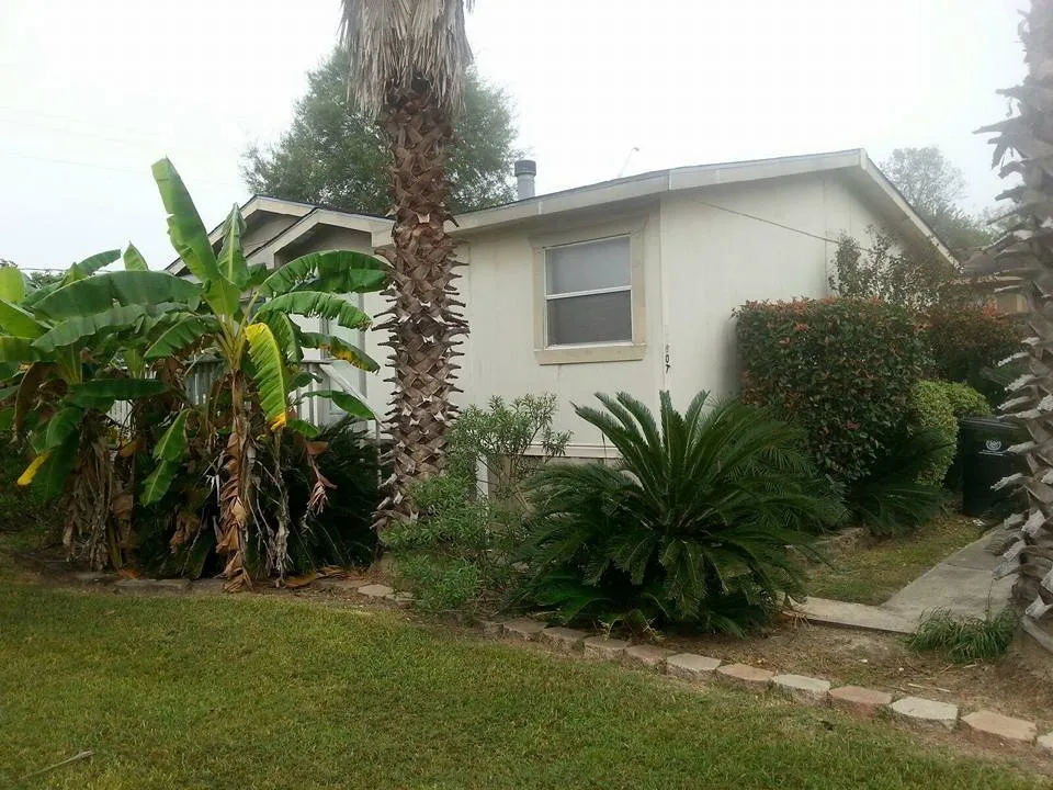Affordable lawn mowing service in Stagecoach, TX by KMW lawn services & Logistics