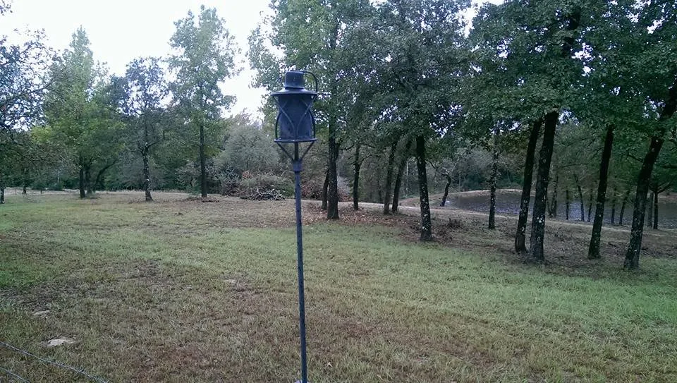 Local yard cleanup service in Stagecoach, TX by KMW lawn services & Logistics