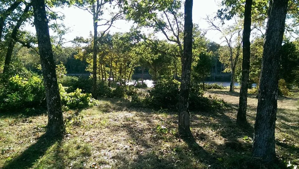 Expert landscaping services for outdoor upgrades across Stagecoach, TX - KMW lawn services & Logistics