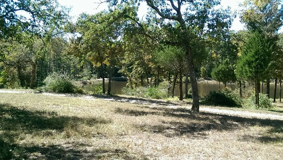 Expert yard maintenance for beautiful yards across Stagecoach, TX - KMW lawn services & Logistics