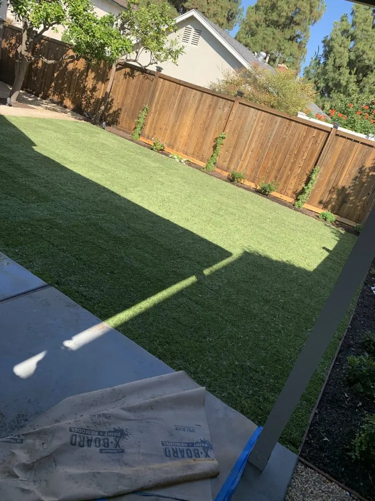 Professional yard cleanup service near you across Santa ana, CA - KN Landscape