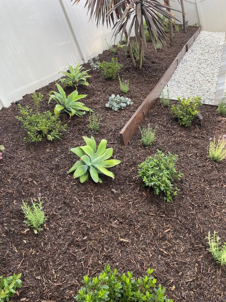 Reliable landscape installation for outdoor upgrades in Santa ana, CA by KN Landscape