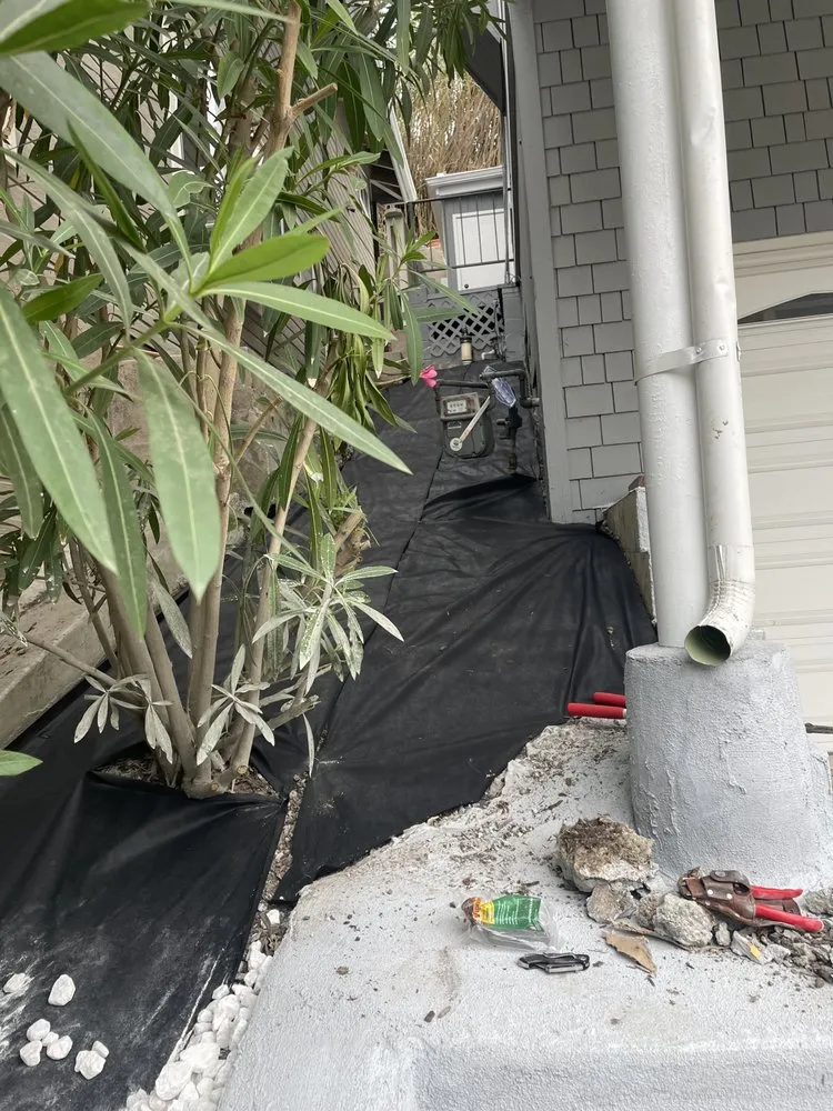 Affordable lawn care service in Santa ana, CA by KN Landscape