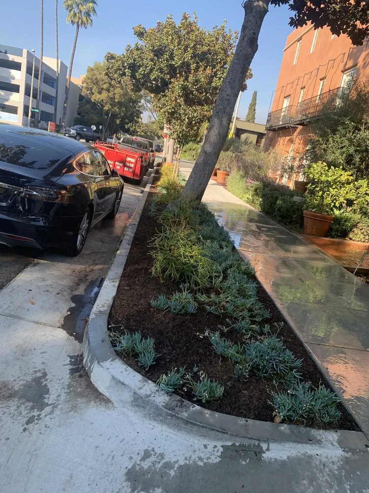 Trusted yard maintenance in Santa ana, CA - KN Landscape