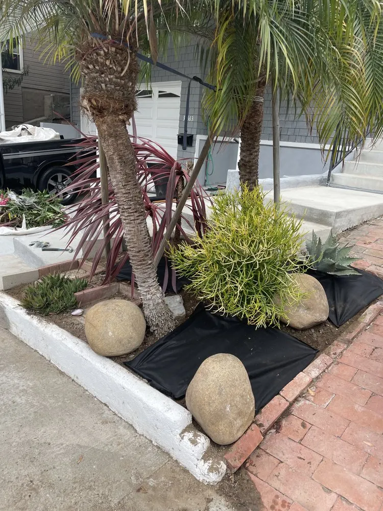 Professional landscape design for residential properties across Santa ana, CA - KN Landscape