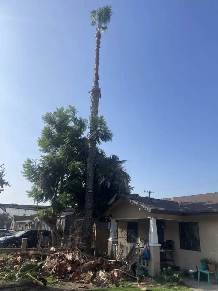 Top-rated lawn care service in Santa ana, CA - KN Landscape