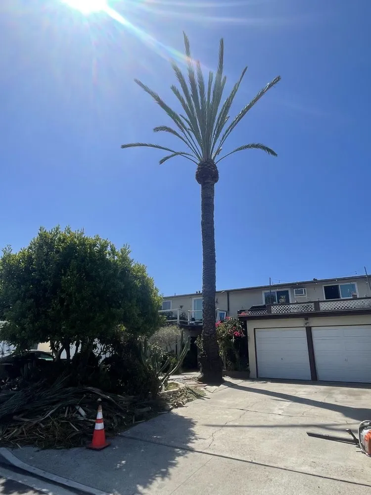 Affordable landscaping services in Santa ana, CA - KN Landscape