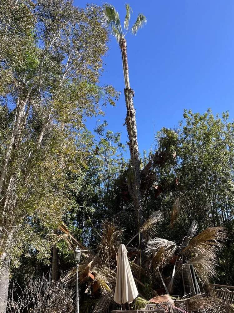Top-rated outdoor landscaping for residential properties in Santa ana, CA by KN Landscape
