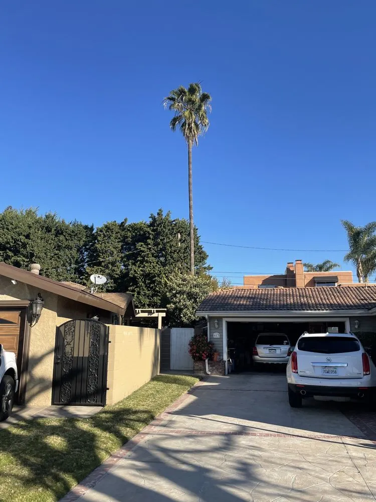 Top-rated lawn mowing service with custom design across Santa ana, CA - KN Landscape