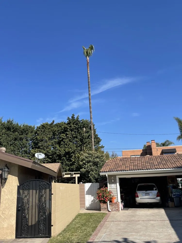 Top-rated landscape design for beautiful yards in Santa ana, CA by KN Landscape