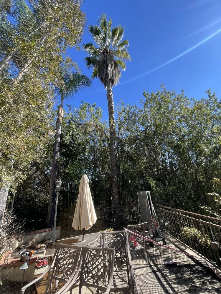 Trusted landscaping services for homes across Santa ana, CA - KN Landscape