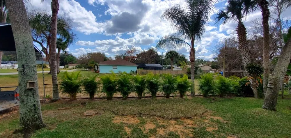 Custom garden landscaping for residential properties in Edgewater, FL by K&N Landscapes