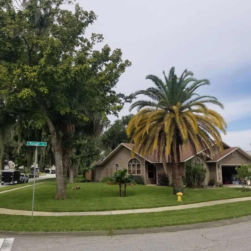 Trusted landscape installation experts serving Edgewater, FL - K&N Landscapes