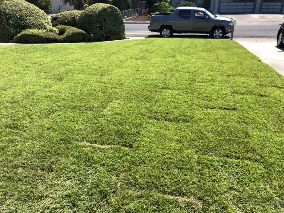 Trusted lawn care service in Santa Rosa, CA by KN Landscaping