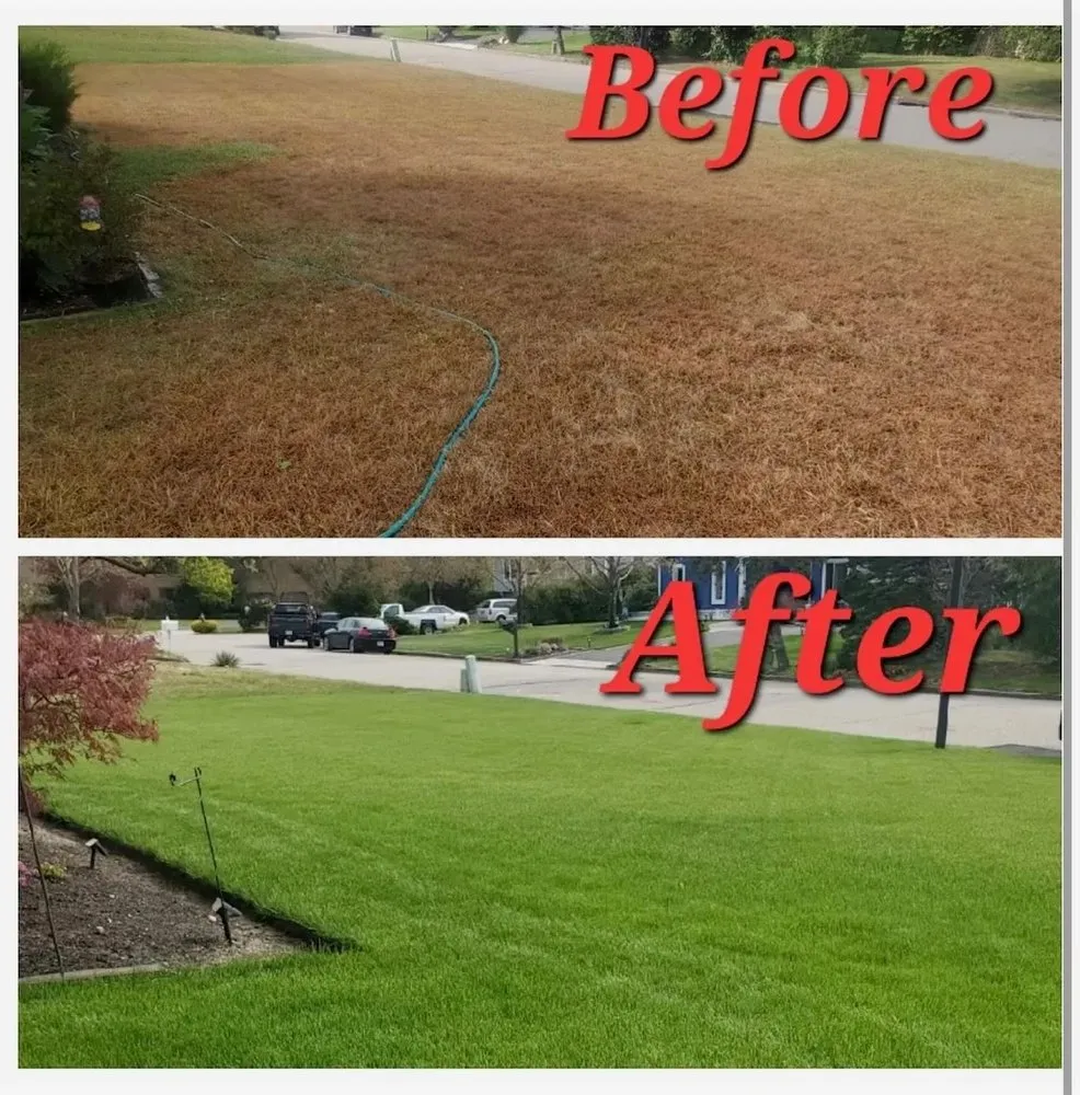 Custom lawn care service for year-round maintenance in Sayville, NY by K&N Landscaping
