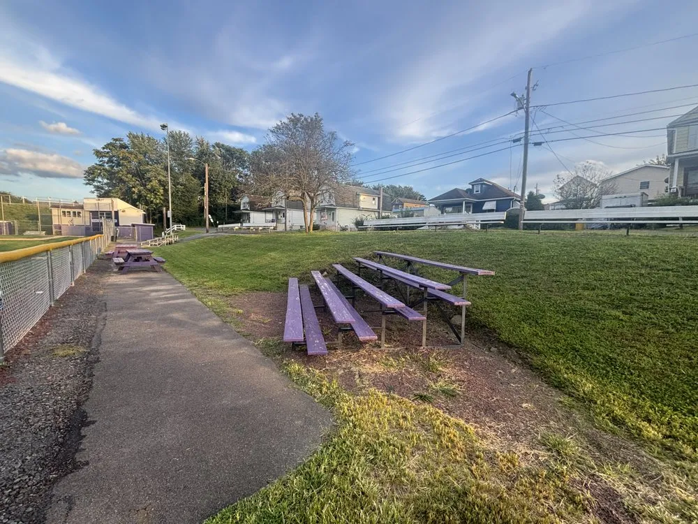 Expert yard cleanup service in Wilkes-Barre, PA by KN Landscaping
