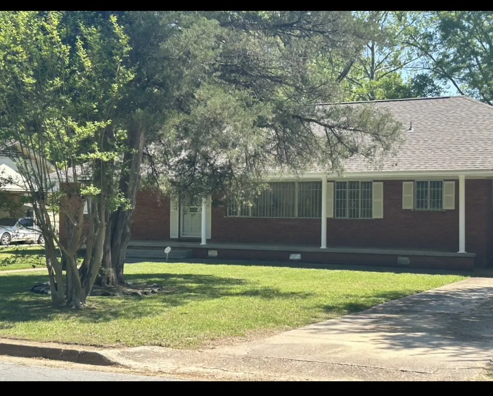 Reliable yard cleanup service experts serving Pine Bluff, AR - K&N lawn care