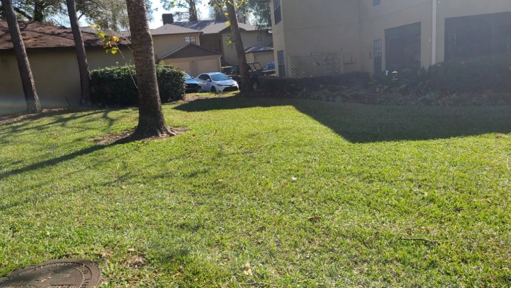 Professional landscape installation experts serving Palm Coast, FL - K&N Lawn Maintenance