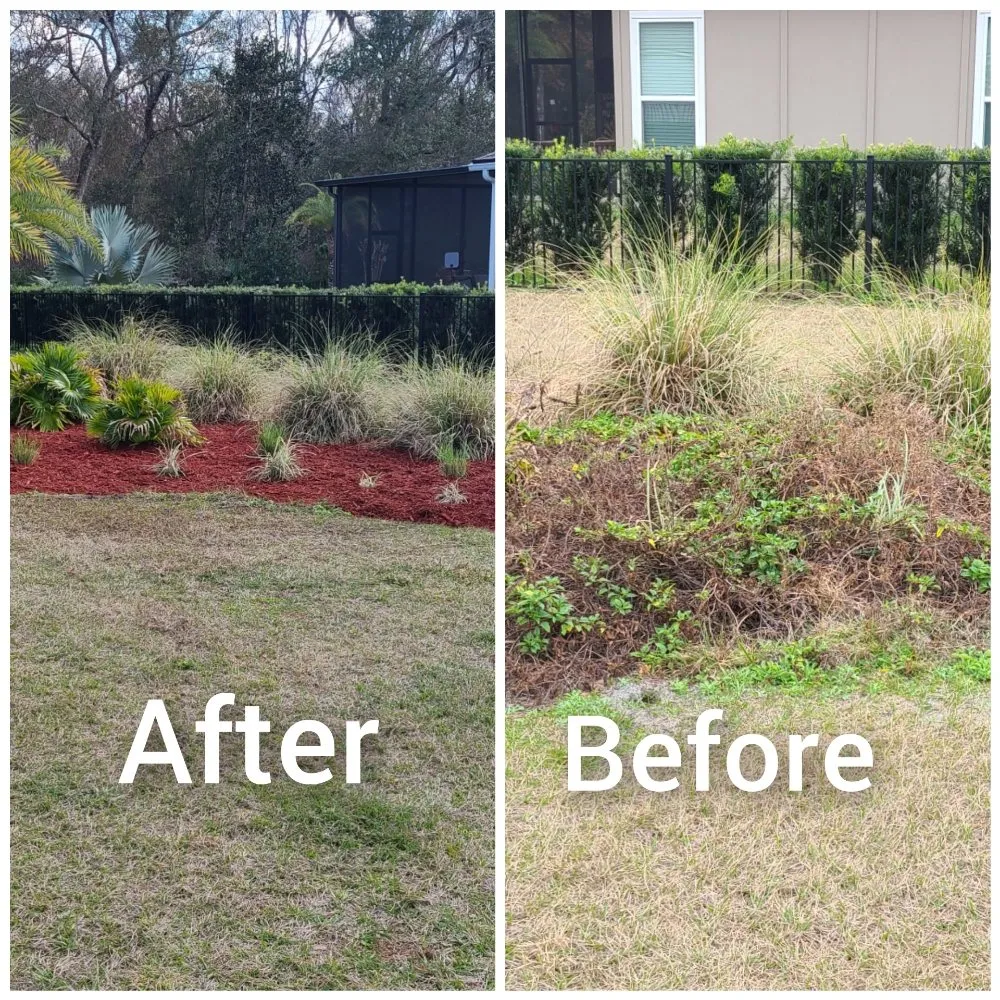 Local outdoor landscaping in Palm Coast, FL - K&N Lawn Maintenance